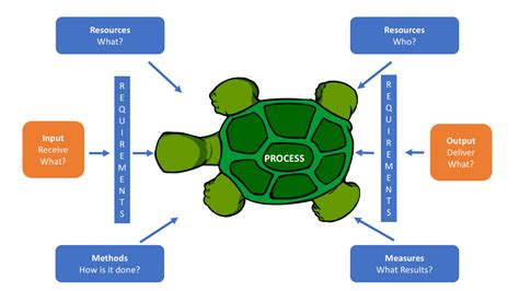 a turtle diagram hr 